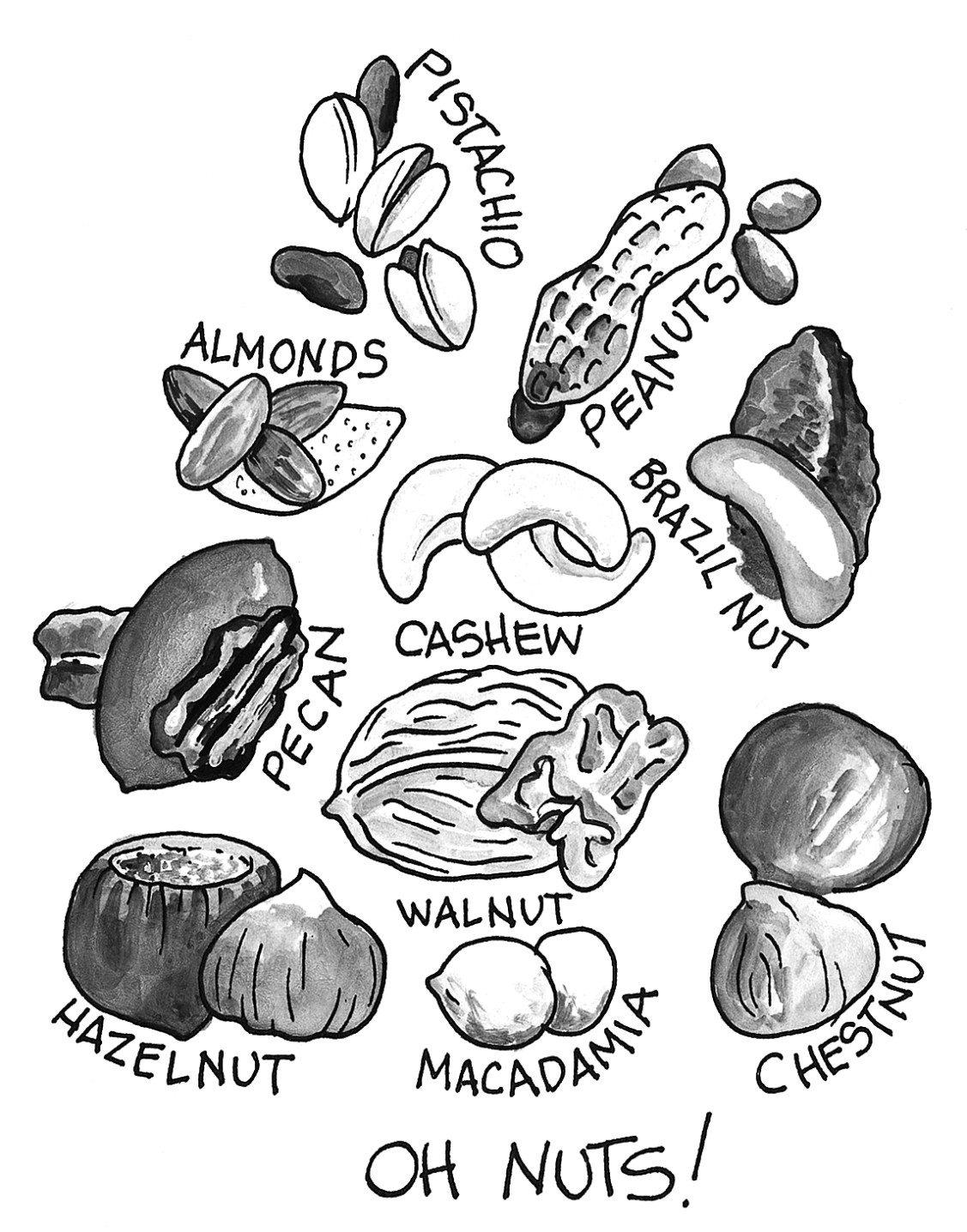 Figure 14-1: Go nuts!